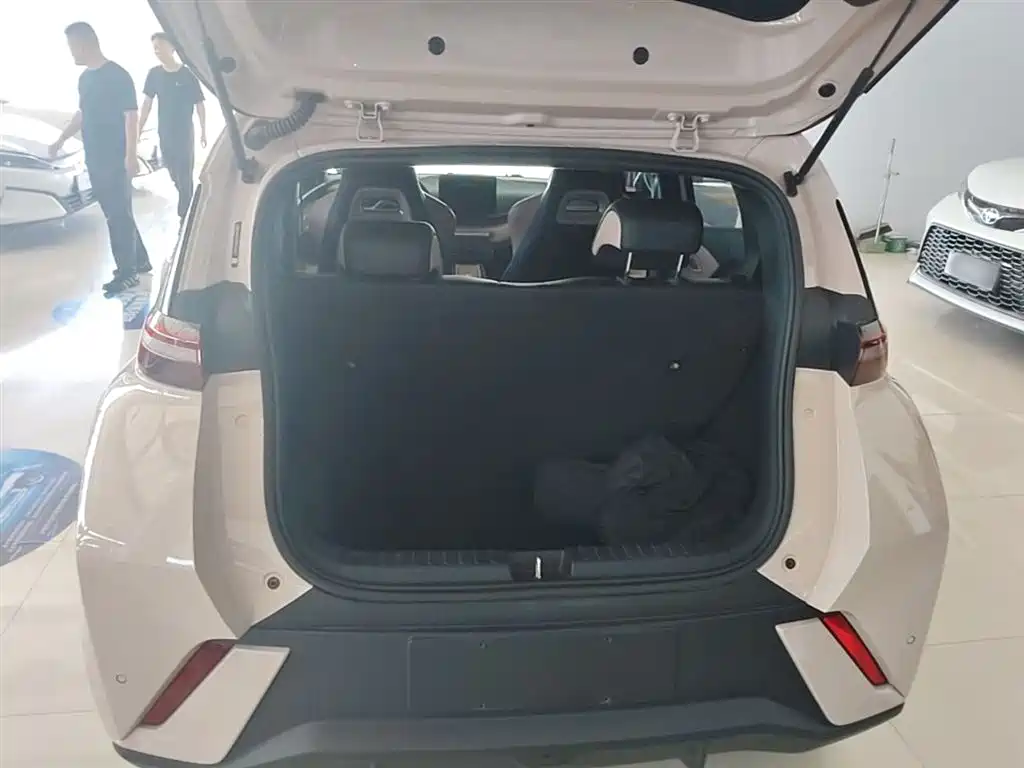 BYD Seagull 2024 Glory Edition 305km Vitality Edition фото 19