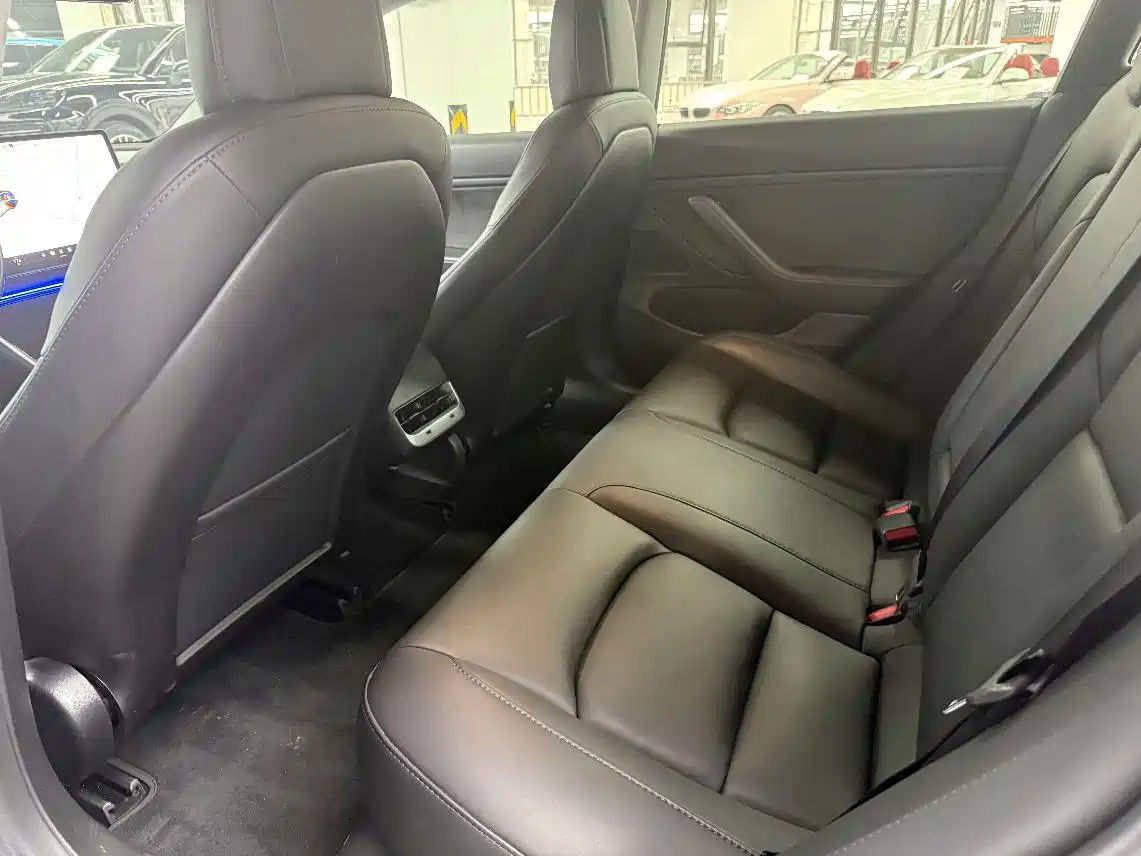 Tesla Model 3 (Import) 2020 2019 Long Range RWD Version