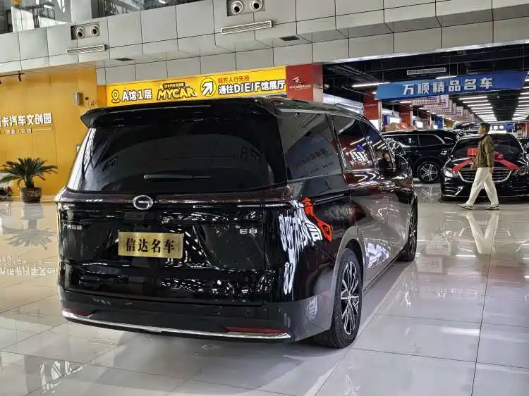 GAC Trumpchi Trumpchi E8 2024 Glory Series 2.0L Glory Edition фото 13