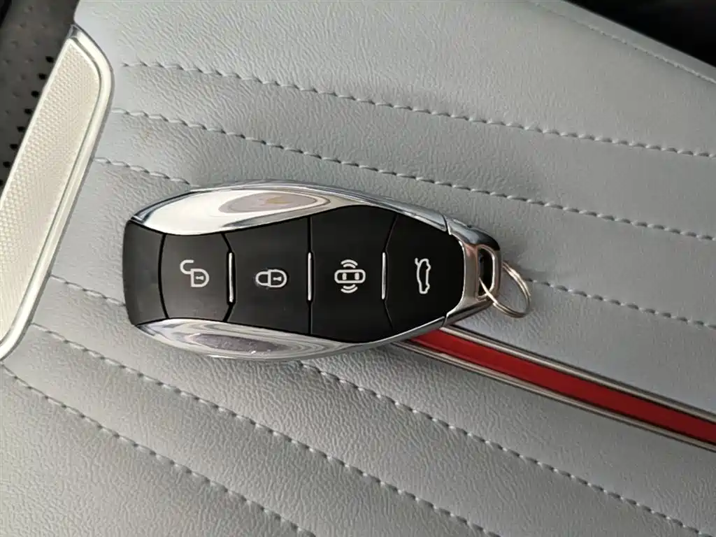 Hongqi H5 PHEV 2025 170 Super Hybrid Edition фото 9