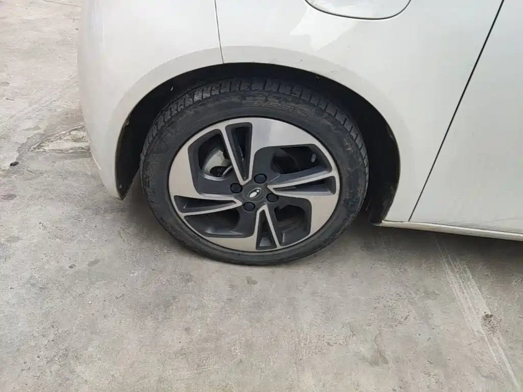 Ora White Cat 2021 2022 Upgraded 305km Luxury (NMC)