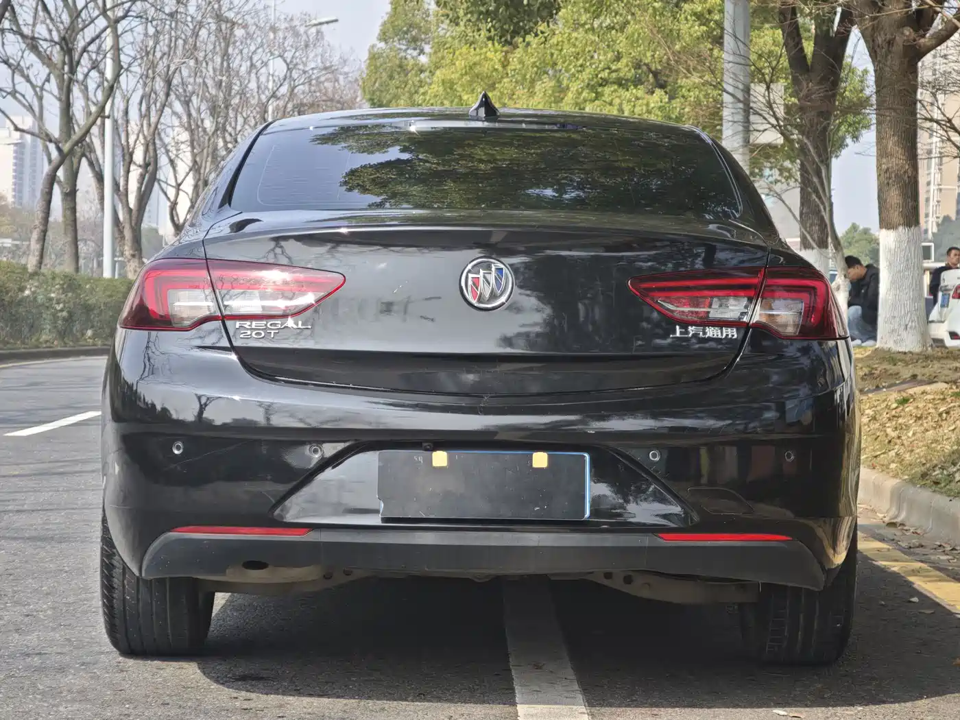 Buick Regal 2019 20T Elite China VI фото 5