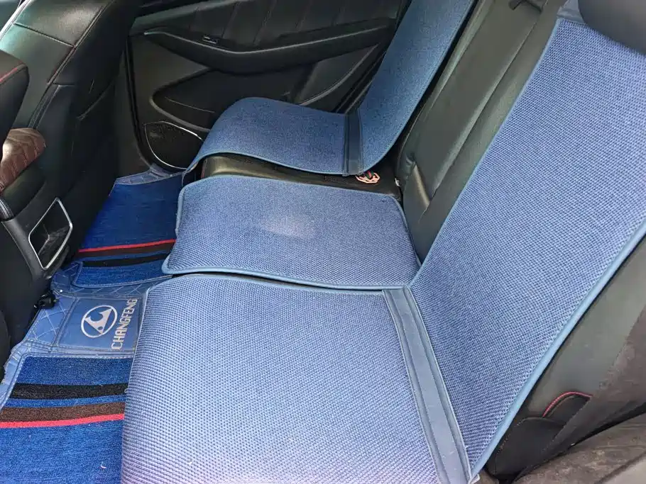 Leopaard CS10 2018 2017 Model 2.0T Automatic Urban Edition