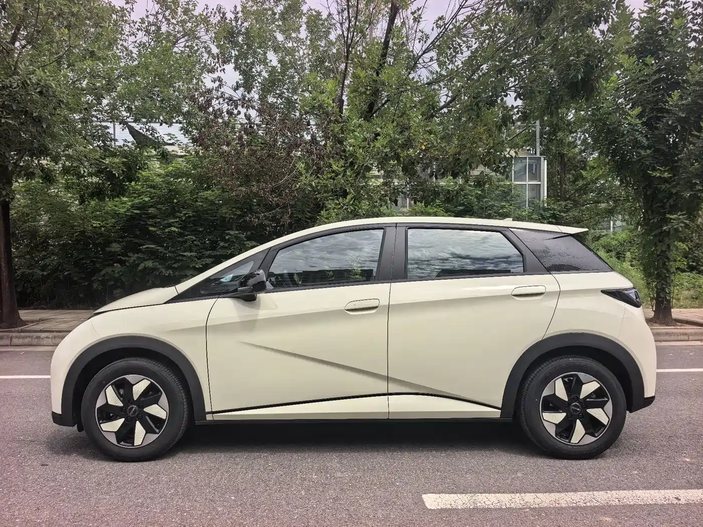 BYD Dolphin 2026 2025 420km Freedom Edition