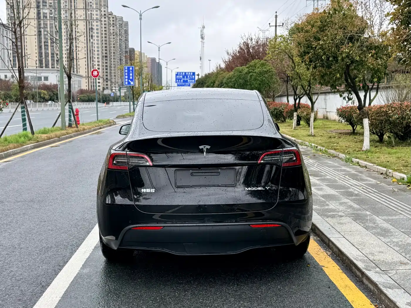 TESLA MODEL Y