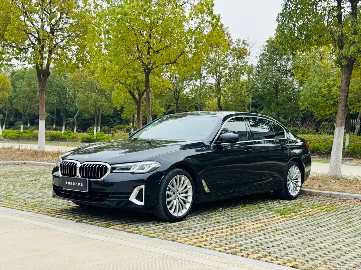 BMW 5 SERIES