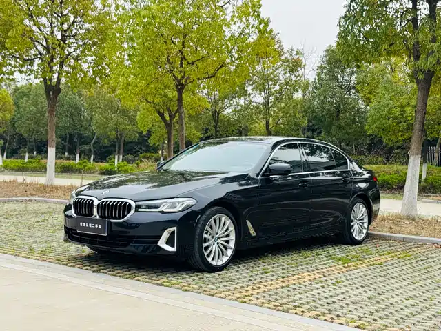 BMW 5 SERIES