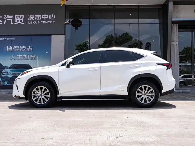 Lexus NX 2020 300h FWD Zhi·Hybrid Special Limited Edition — фото 4