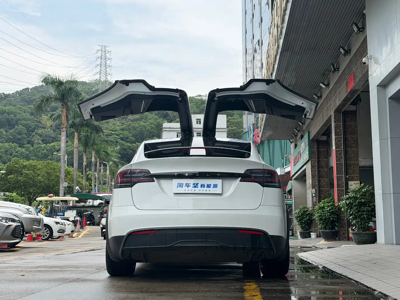 Tesla Model X 2023 2023 Dual Motor All-Wheel Drive Edition