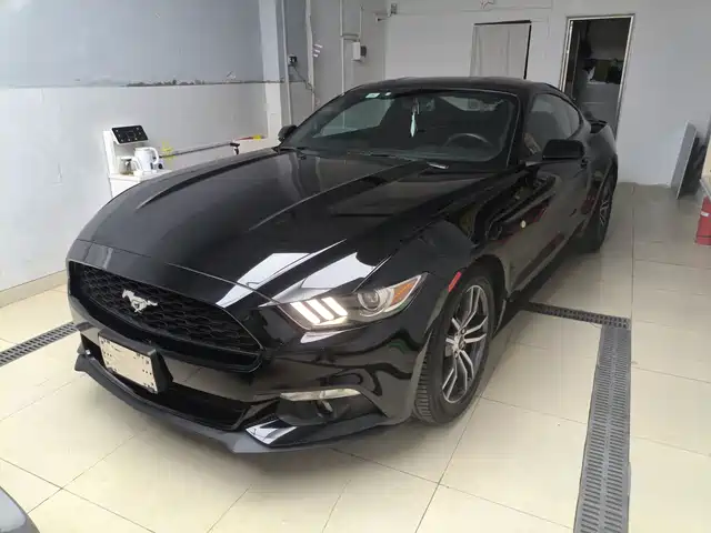 FORD MUSTANG