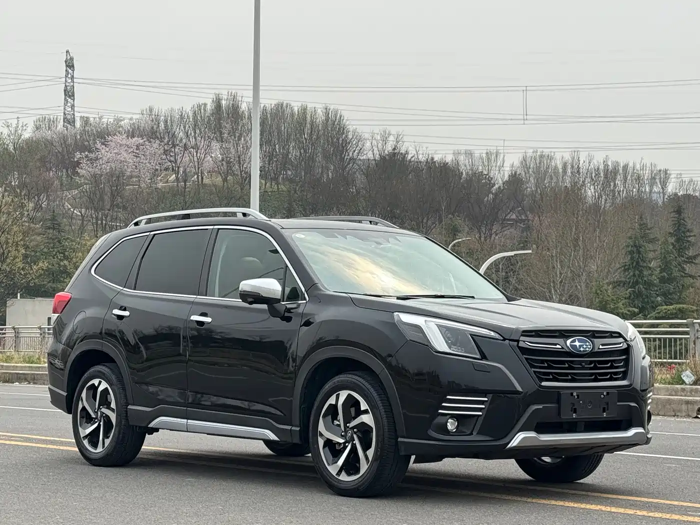 Subaru Forester 2024 2.5i AWD Flagship EyeSight фото 3