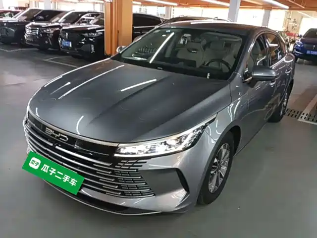 BYD Destroyer 05 2024