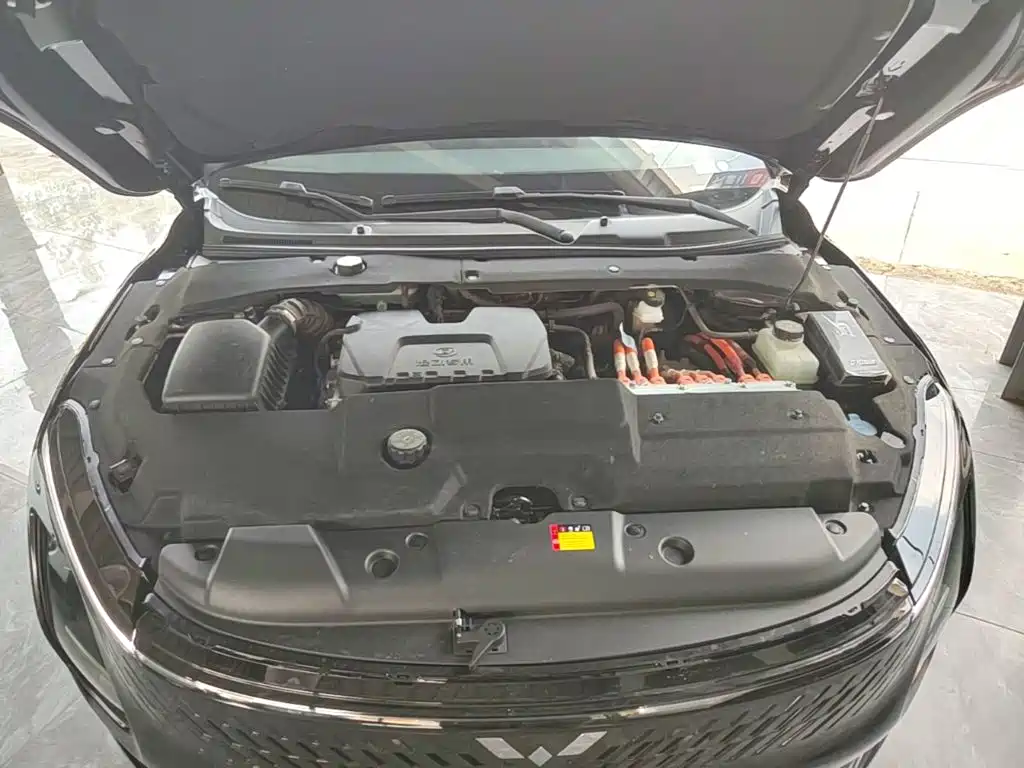 Фото 20 - Wuling Motors Wuling Xingguang