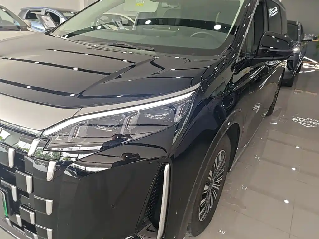 BYD M9 2025 2025 Model 1060 Pilot Edition