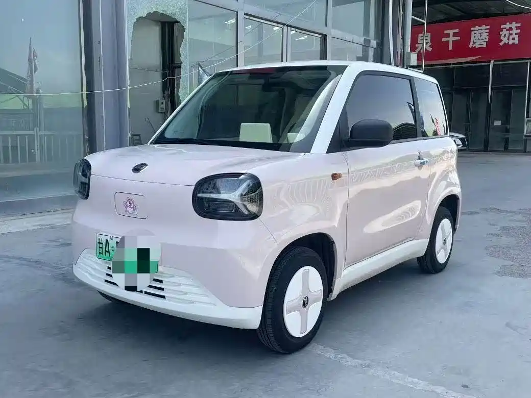 2024 Zhido Rainbow