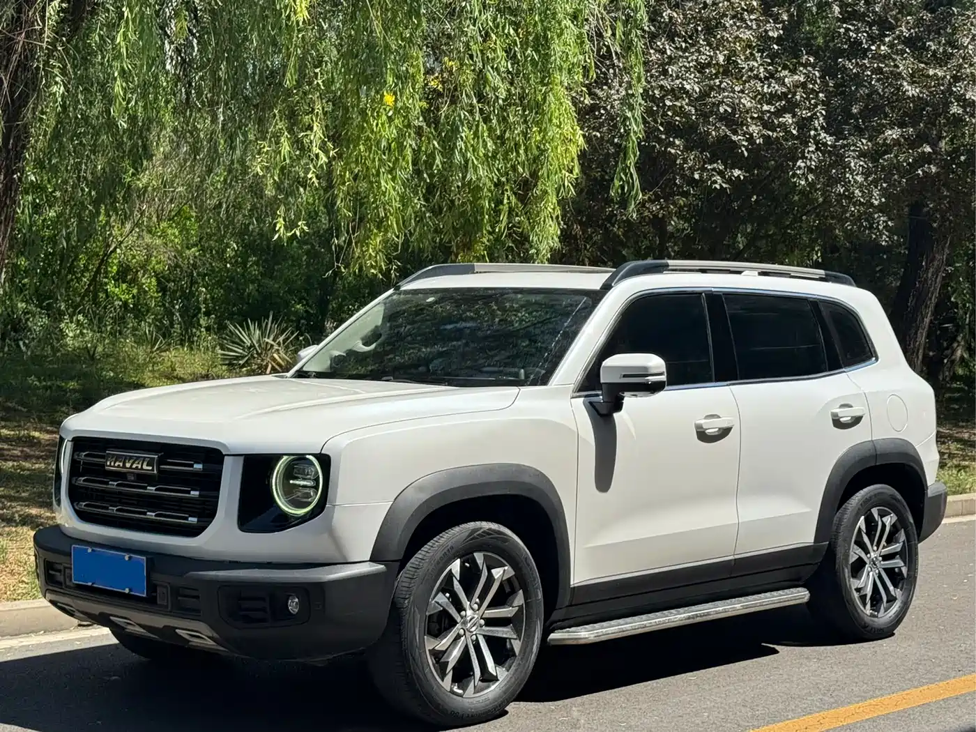 Haval Big Dog 2021 1.5T DCT 2WD Border Collie Edition