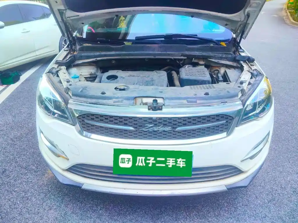 صورة 21 - Zotye Damai X5