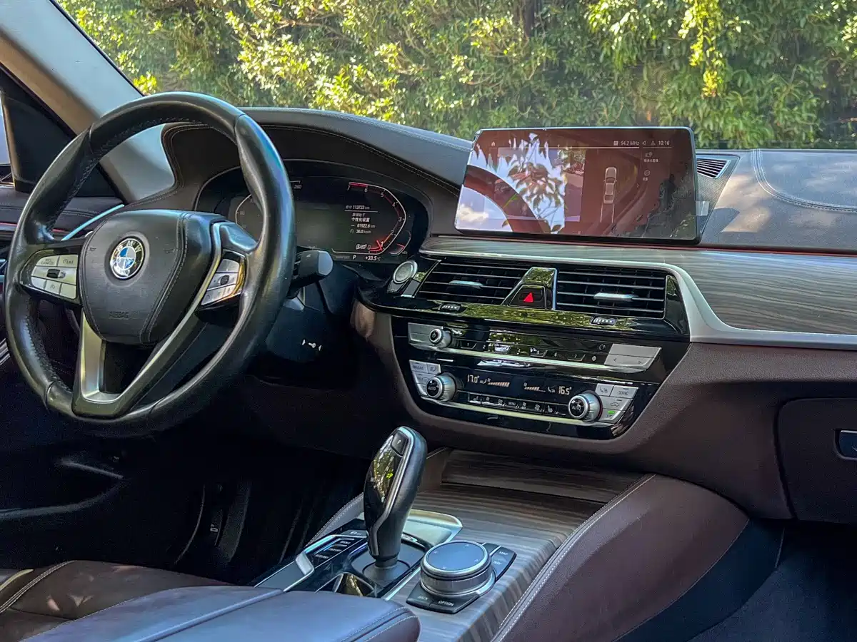 BMW 5 Series 2020 530Li Leading Luxury Package фото 13