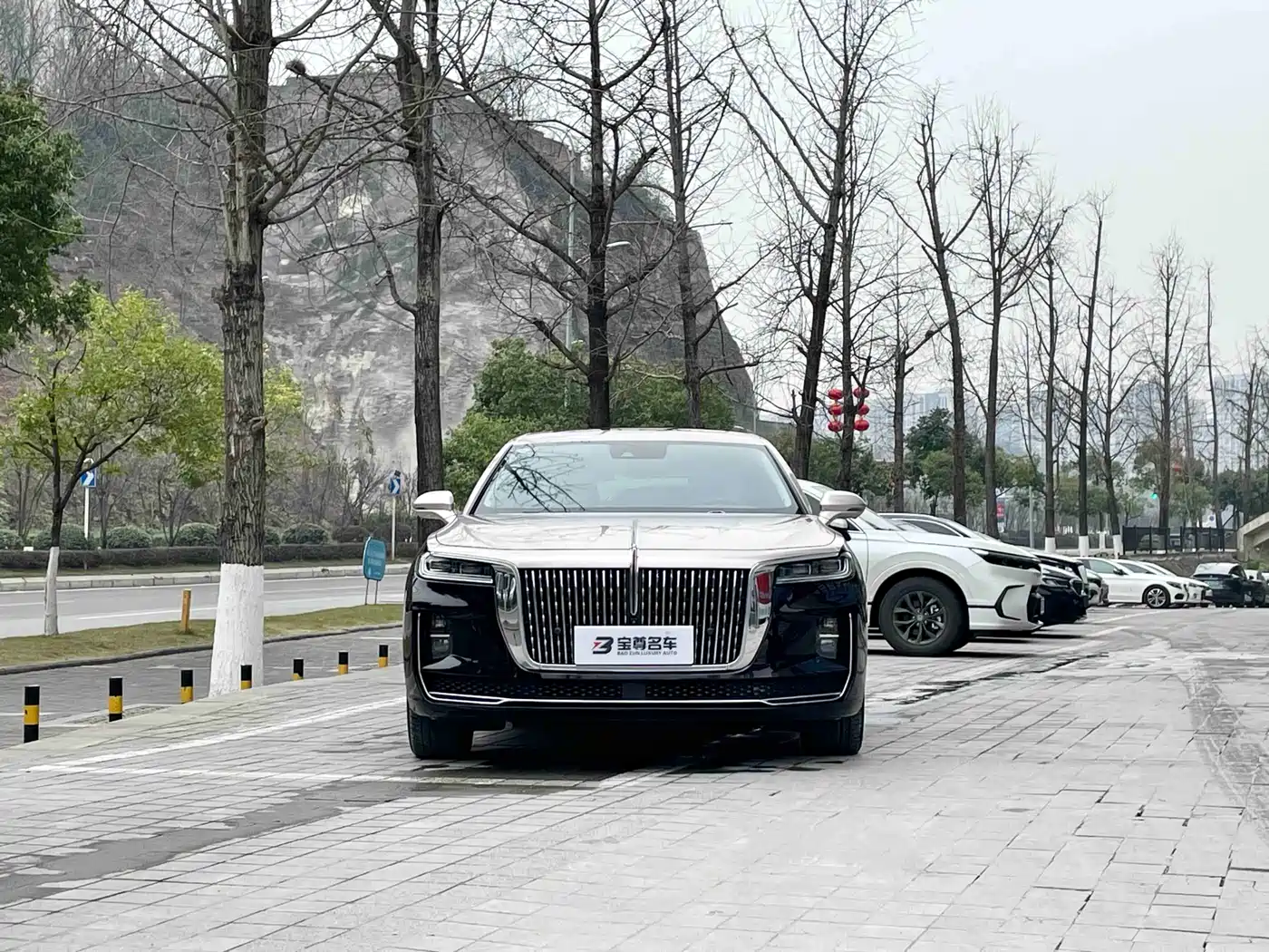  HONGQI H9