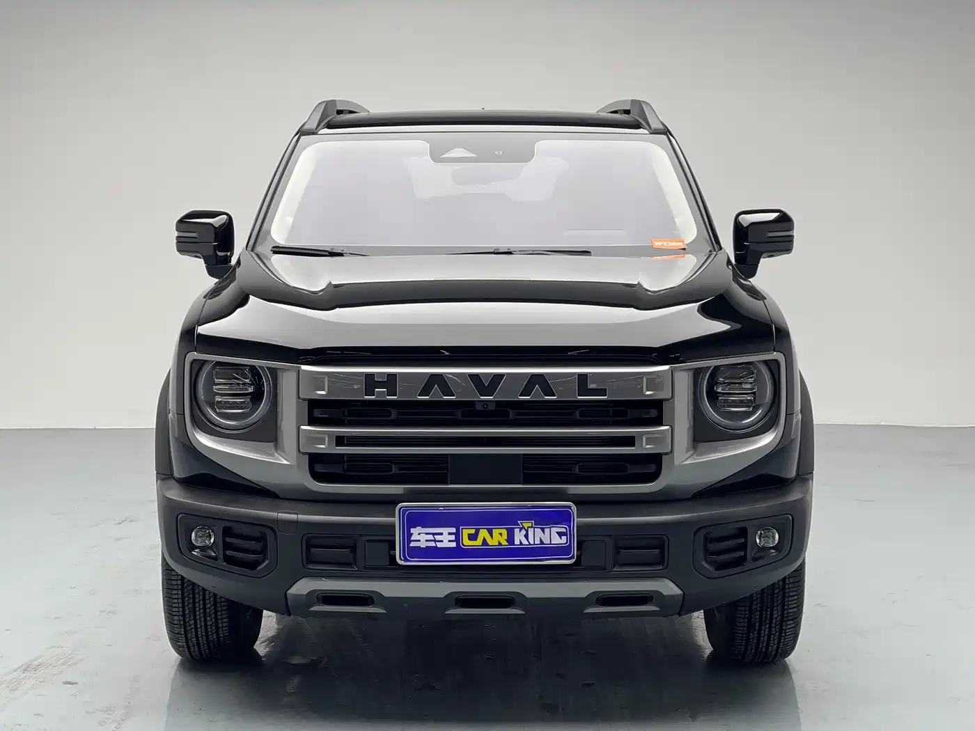 HAVAL BIG DOG
