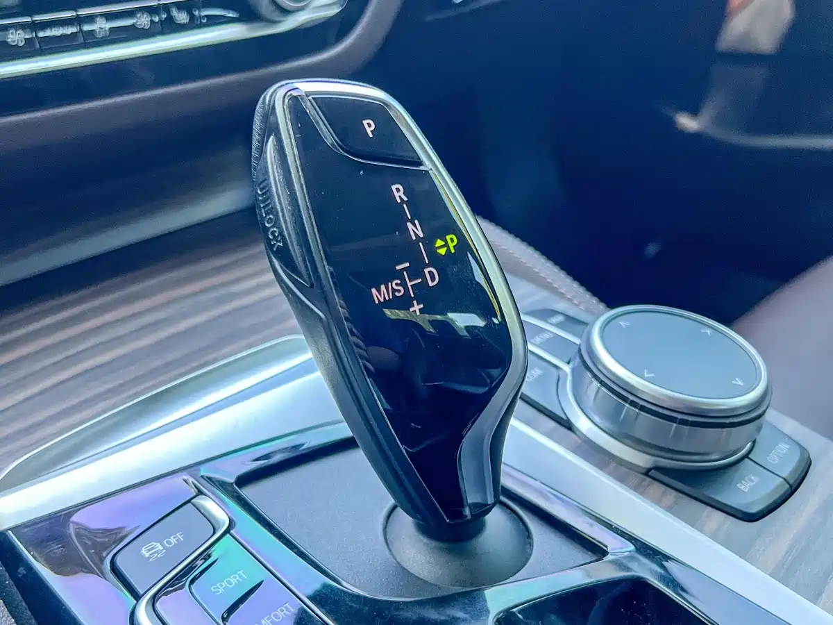 BMW 5 Series 2020 530Li Leading Luxury Package фото 9