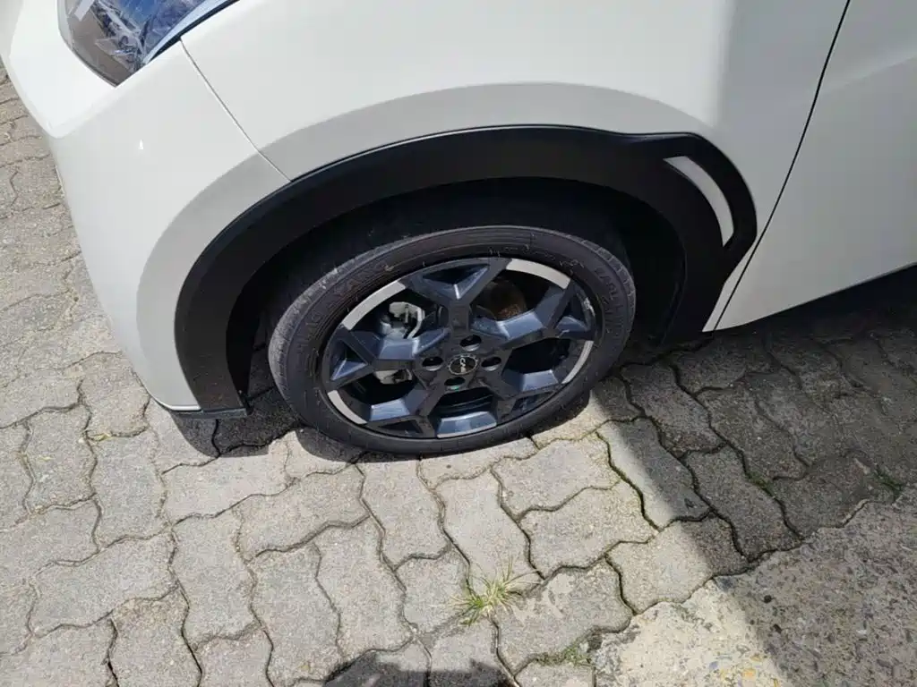 BYD Seagull 2025 2025 305km Freedom