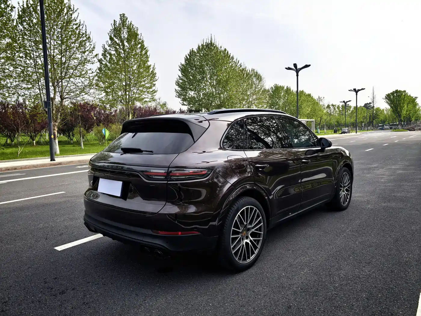 Porsche Cayenne 2023 Cayenne 3.0T Platinum Edition фото 10