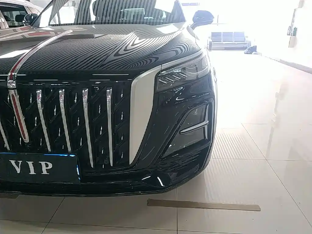 Hongqi HS5 2025 2.0T 2WD Qixiang Pro фото 24