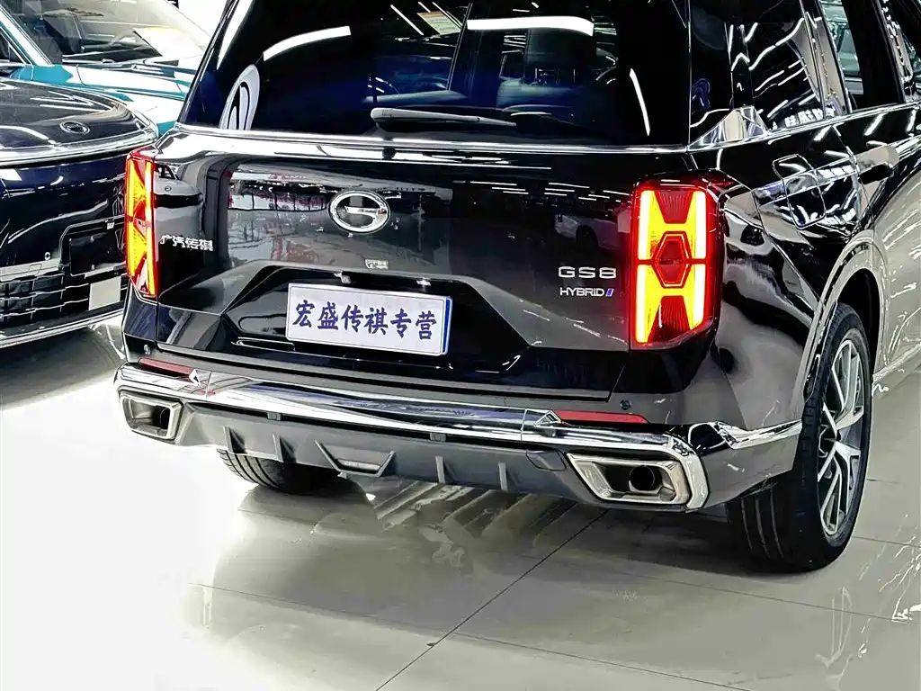 GAC Trumpchi Trumpchi GS8 2022 Dual Engine Series 2.0TM 2WD Premium Edition (6-Seater) фото 39