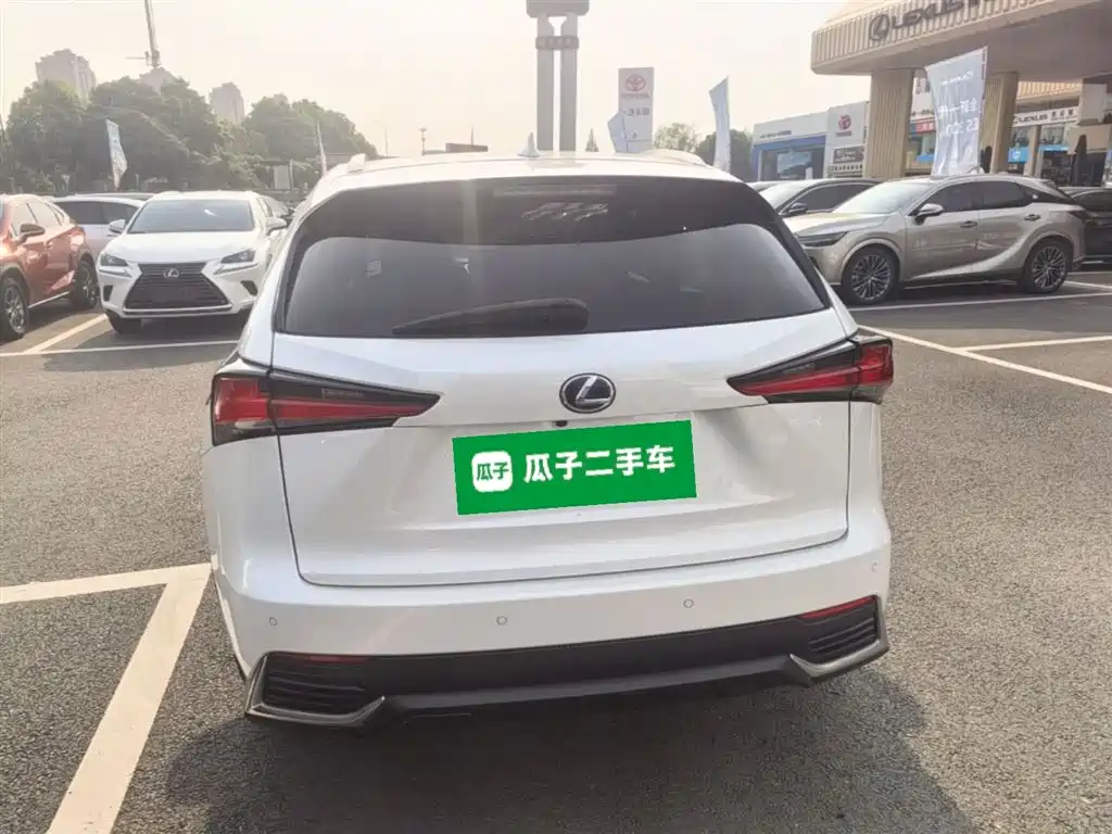 Lexus NX 2018 Model 300h FWD Fengshang Edition China V фото 6