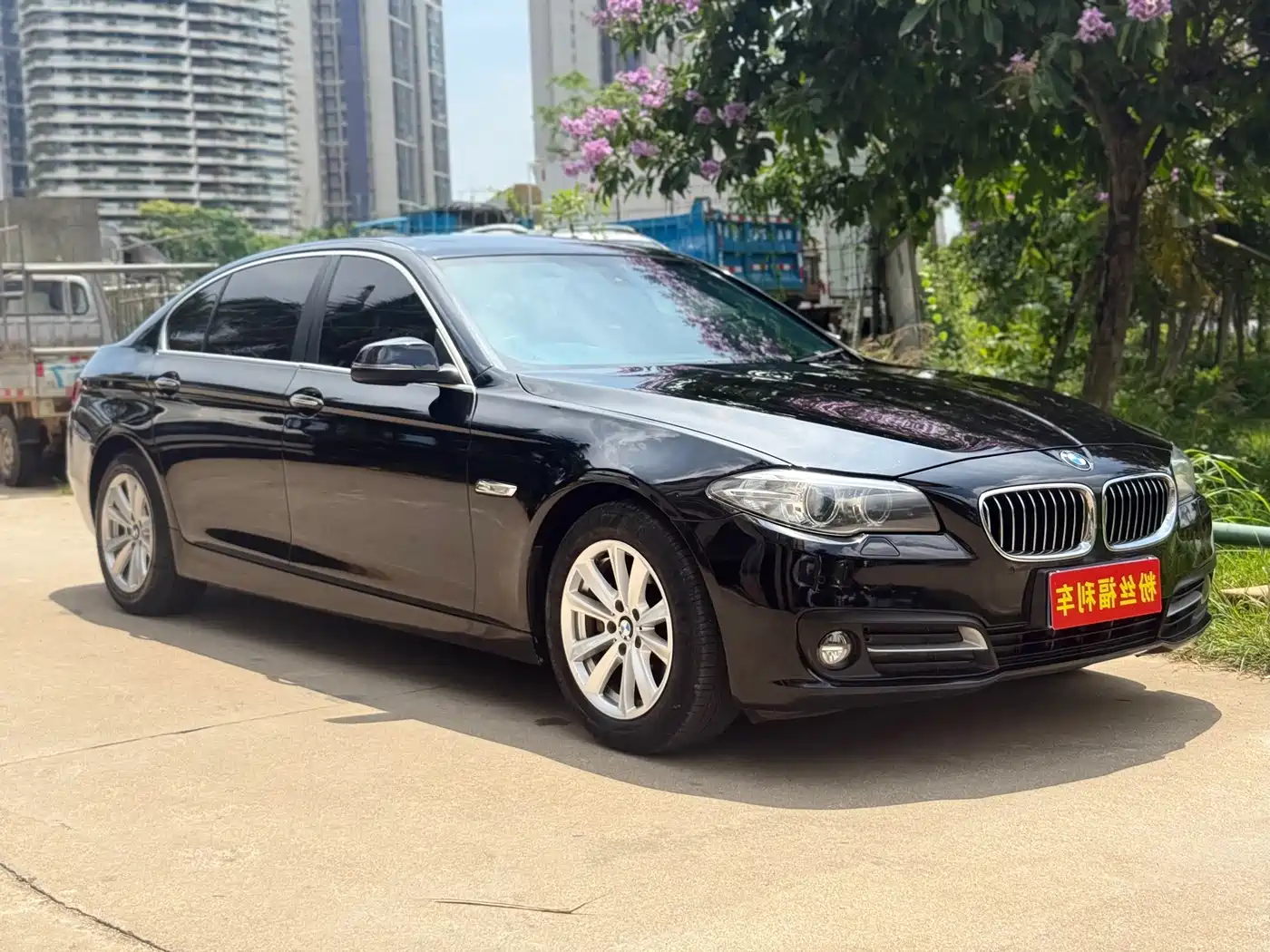 BMW 5 Series 2014 520Li Elegance фото 3