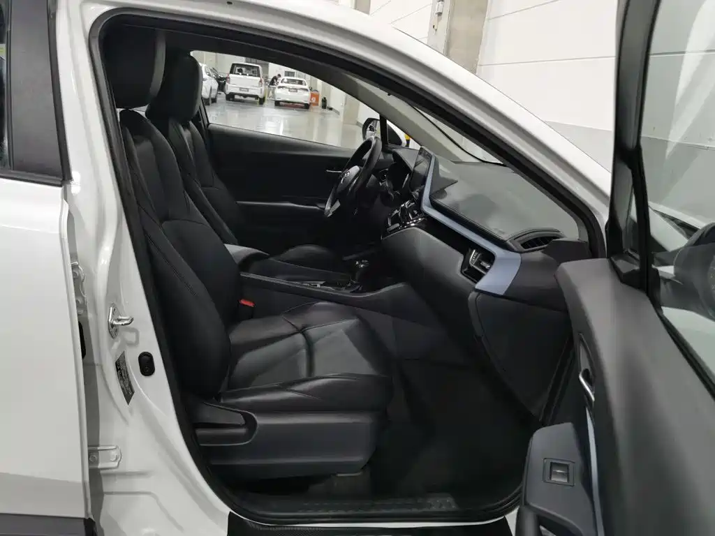 Toyota IZOA 2021 2021 2.0L Yixiang Edition