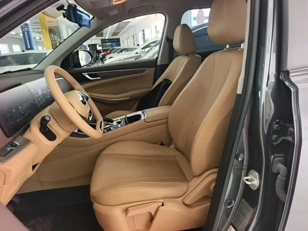 Landian E5 2024 2024 Glory Edition 100KM Comfort Type 7-Seater