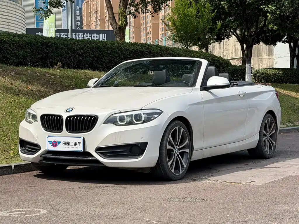 BMW 2 Series (Import) 2019 225i Convertible Coupe Sport Design Package