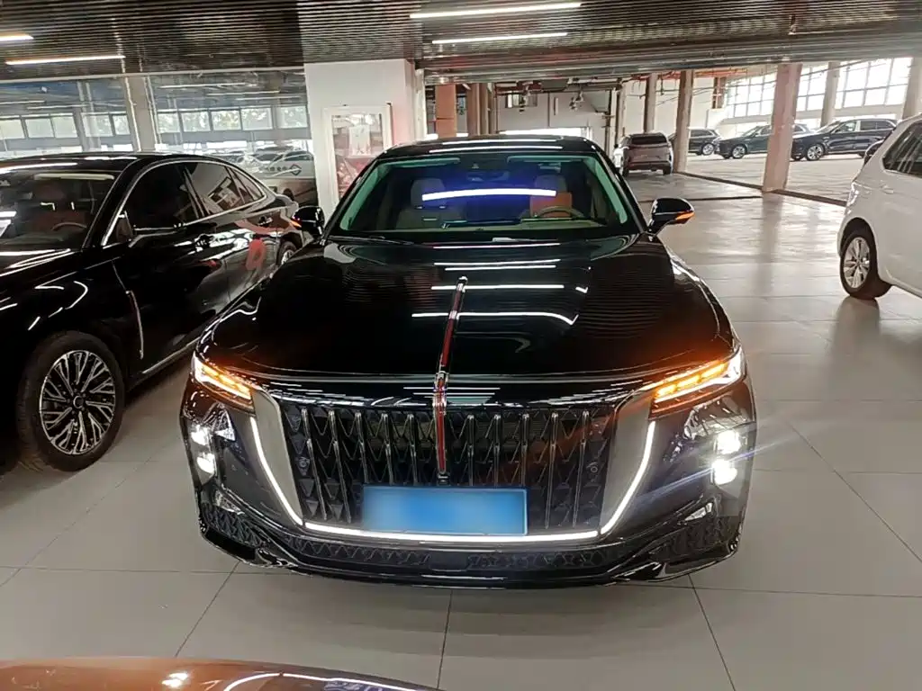 Hongqi H9 2025 2024 2.0T Qi Enjoy Private Fashion Edition