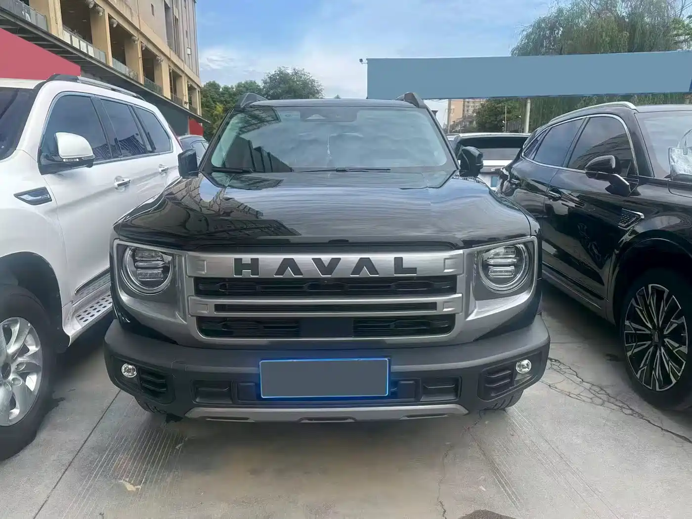 HAVAL BIG DOG