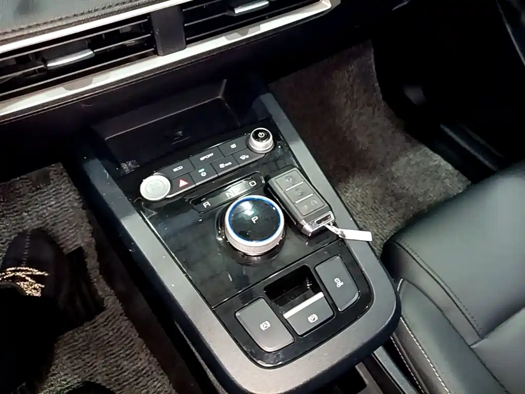 BYD e2 2019 Long Range Yao·Luxury Model фото 9