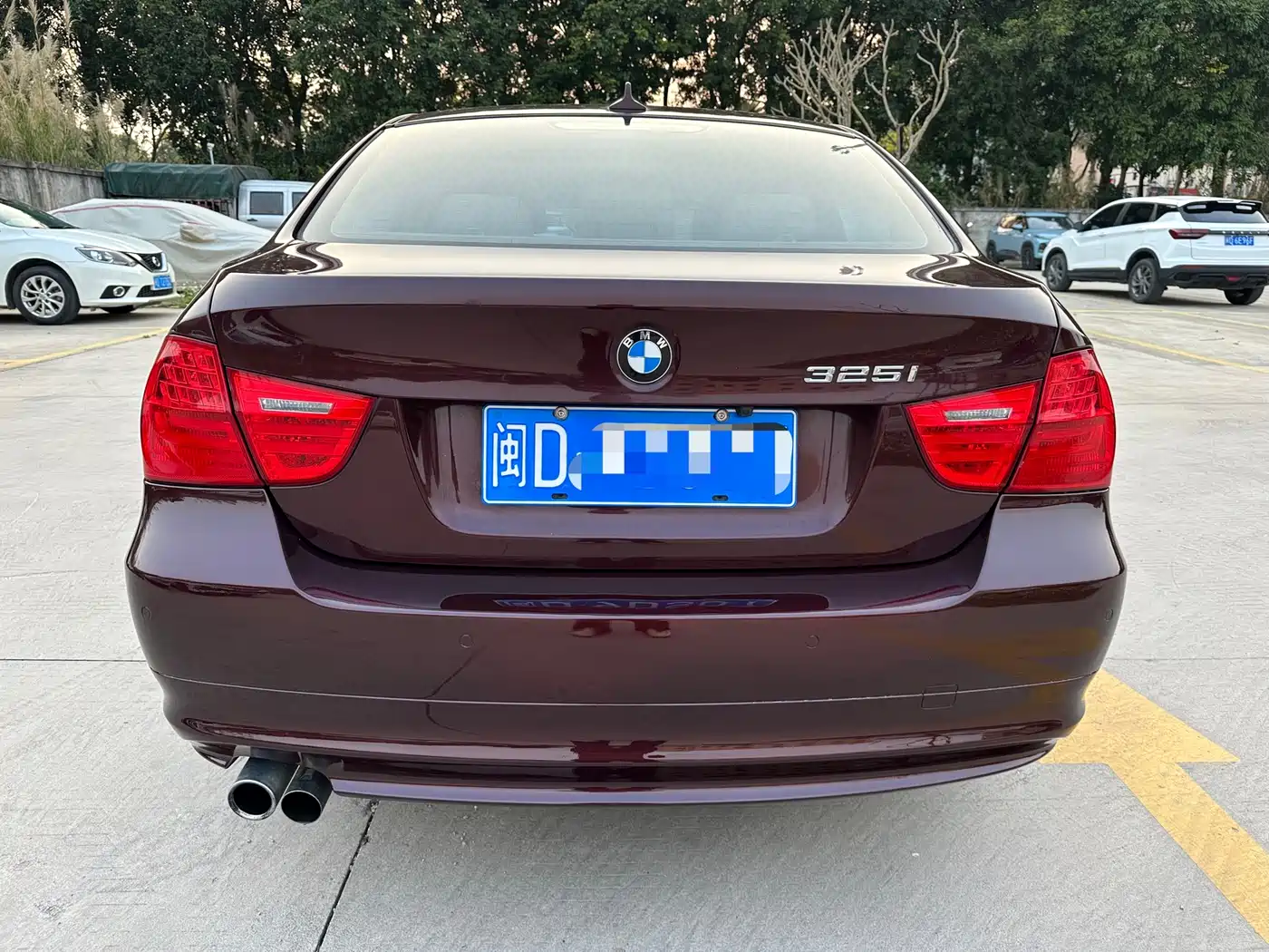 BMW 3 Series (Import) 2010 325i Luxury фото 6