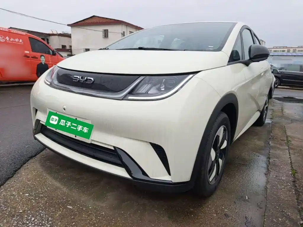 Фото 1 - BYD Dolphin