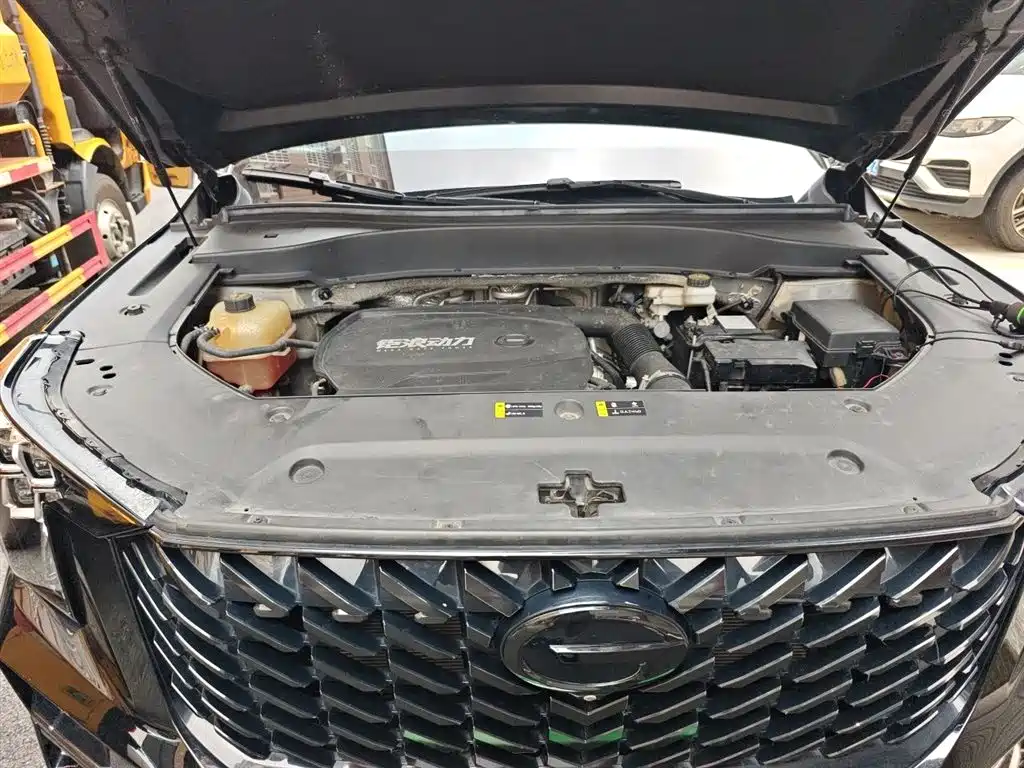 GAC Trumpchi Trumpchi GS8 2022 Navigator Series 2.0TGDI 2WD Luxury Smart Connect Edition (6-seater) фото 16