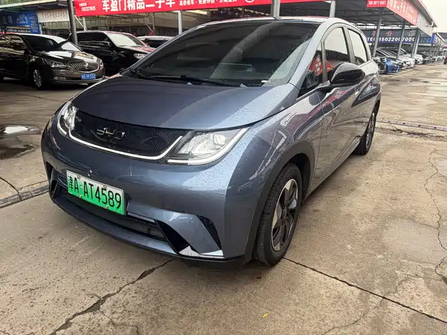 BYD Dolphin 2025