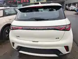 Фото 6 - BYD Dolphin