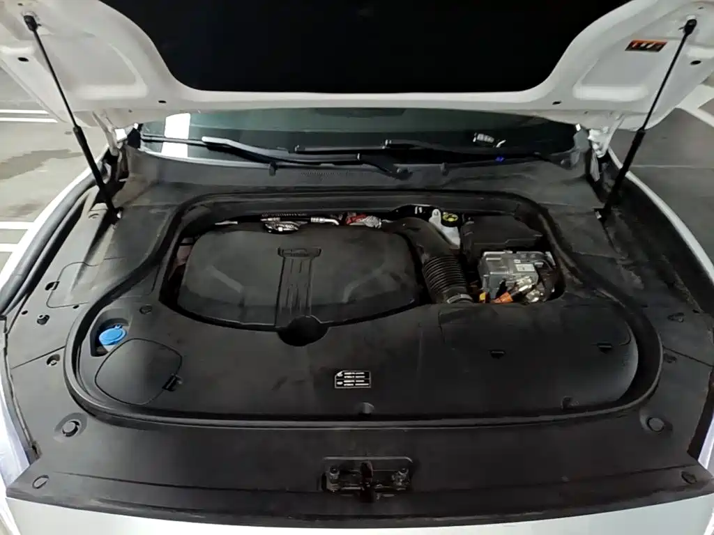 Geely Borui PHEV 2021 2021 1.5T ePro Leading Edition