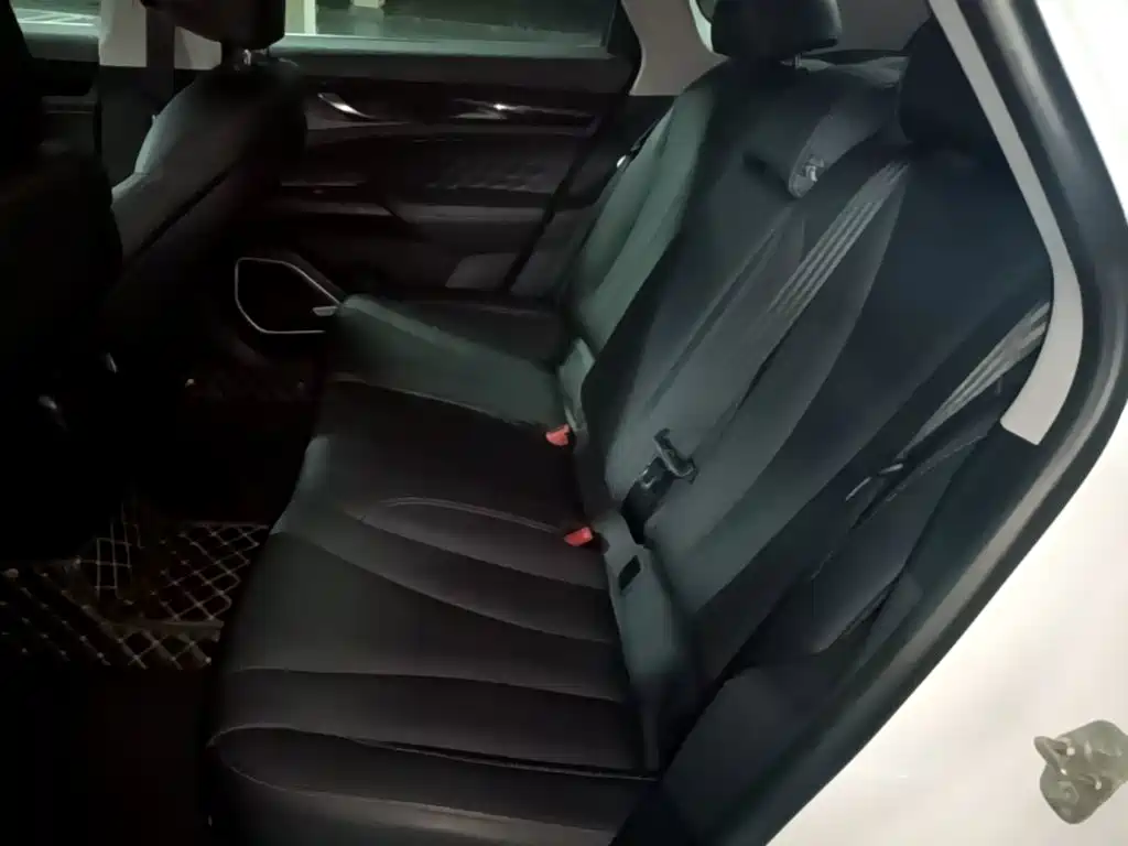Geely Borui PHEV 2021 2021 1.5T ePro Leading Edition