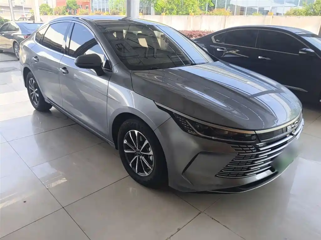BYD Destroyer 05 2023 Champion Edition DM-i 55KM Luxury фото 4