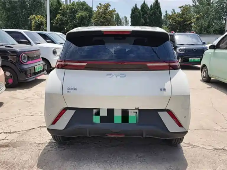 BYD Seagull 2024 Glory Edition 305km Vitality Edition фото 5
