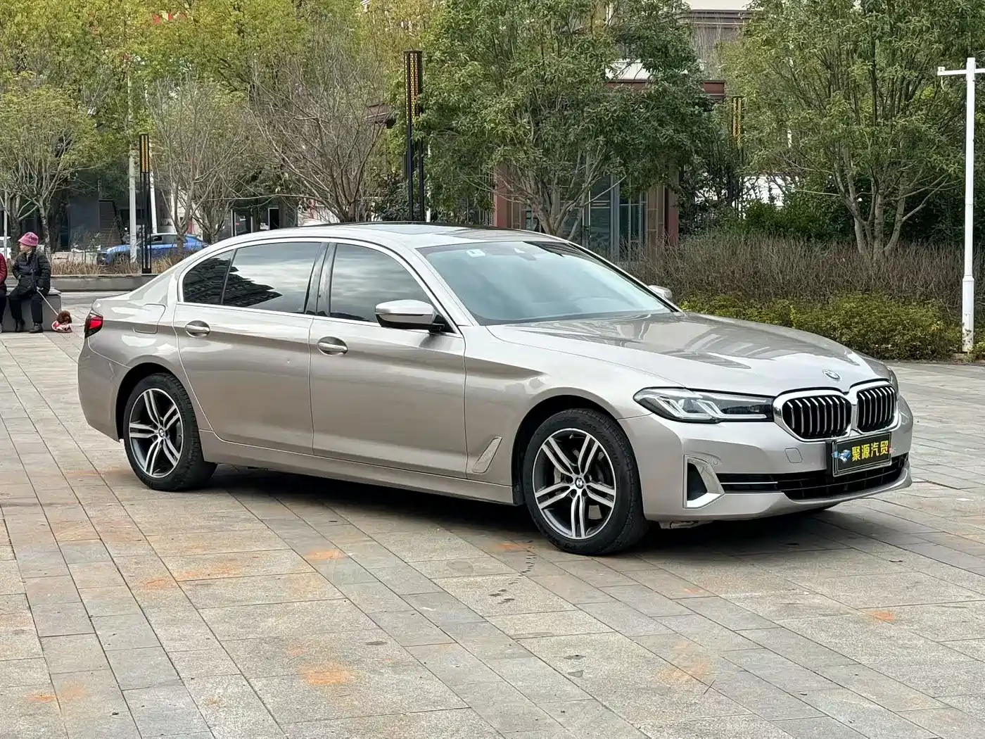 BMW 5 SERIES