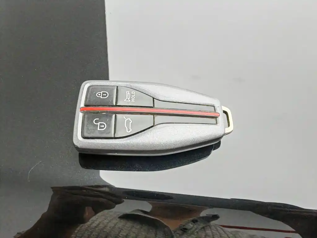Hongqi HS7 2022 2022 2.0T DCT 2WD ZhiLian QiXiang Edition 5-seater