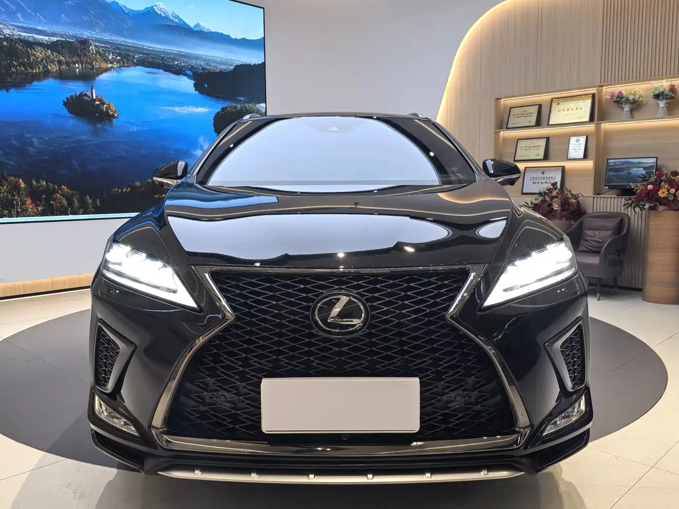 LEXUS RX