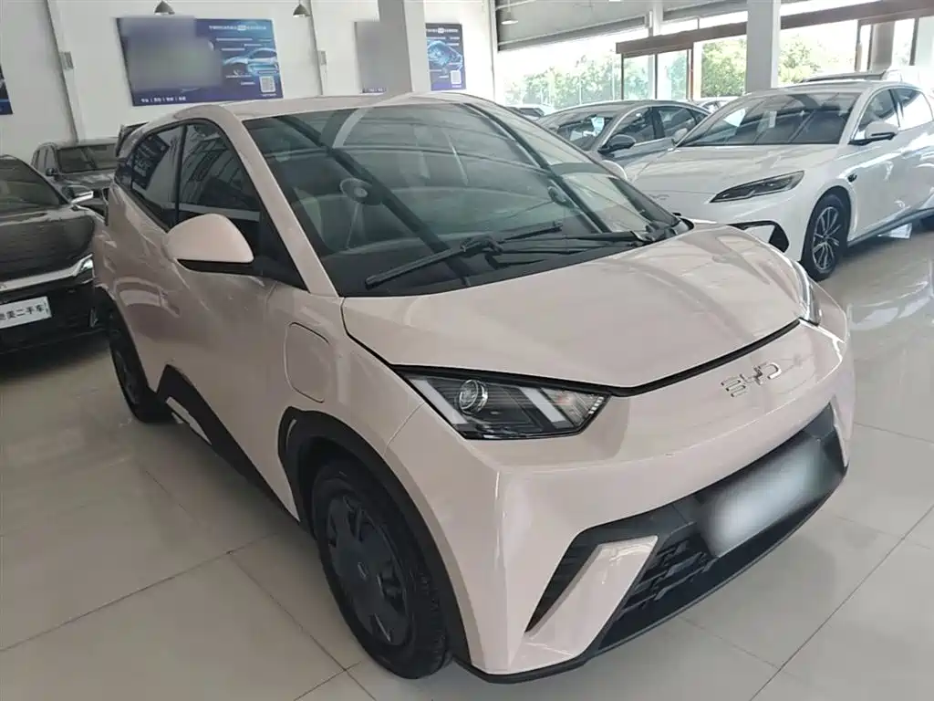 BYD Seagull 2024 Glory Edition 305km Vitality Edition фото 4